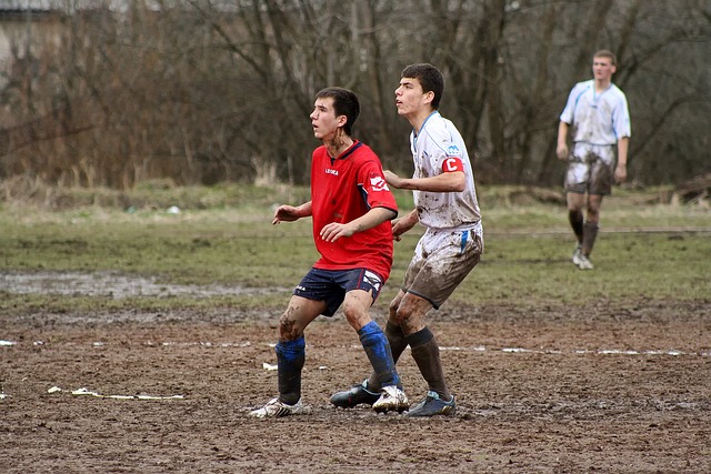 他们擅长快 他们擅长快