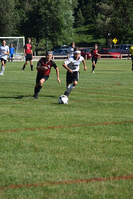 整个球队 整个球队