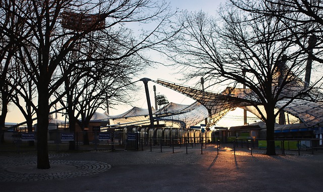 的篮下得分 的篮下得分