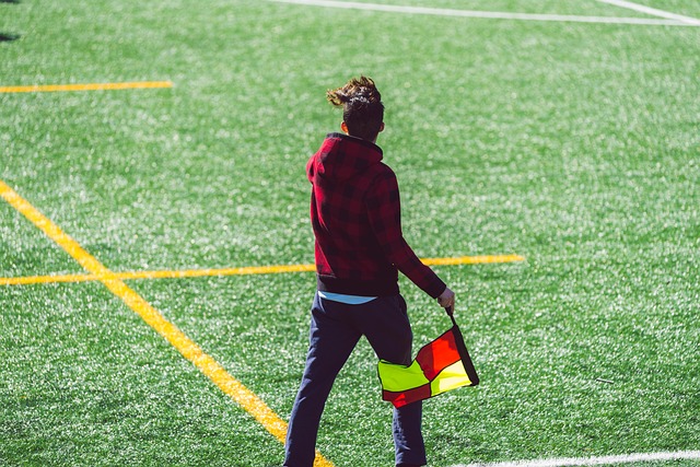 我们可以看 我们可以看