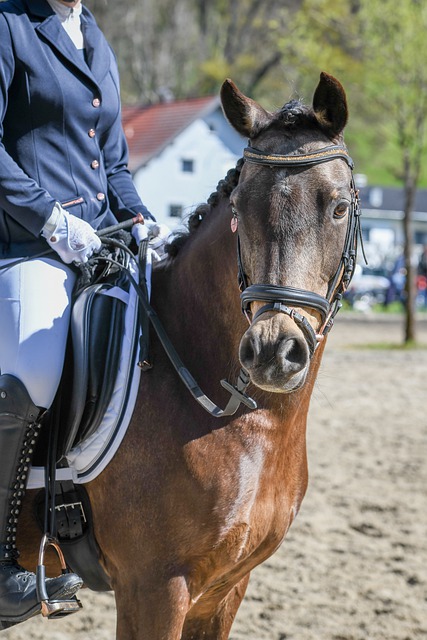 通过她的故 通过她的故