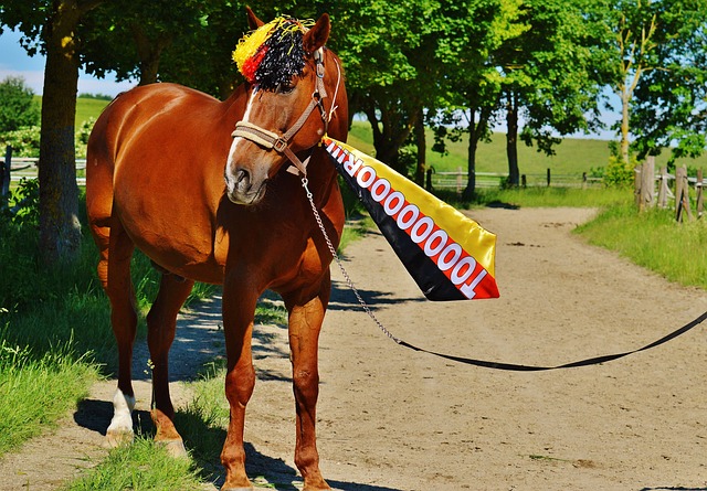 杜兰特因脚 杜兰特因脚