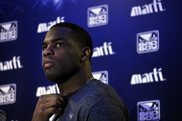 的面部骨骼 的面部骨骼