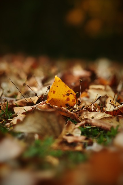 具體來看 具體來看